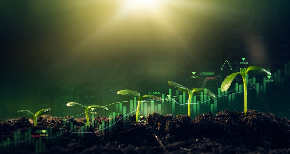 Mão segurando moedas de onde nasce uma muda verde, representando investimentos para iniciantes com pouco dinheiro e crescimento gradual.