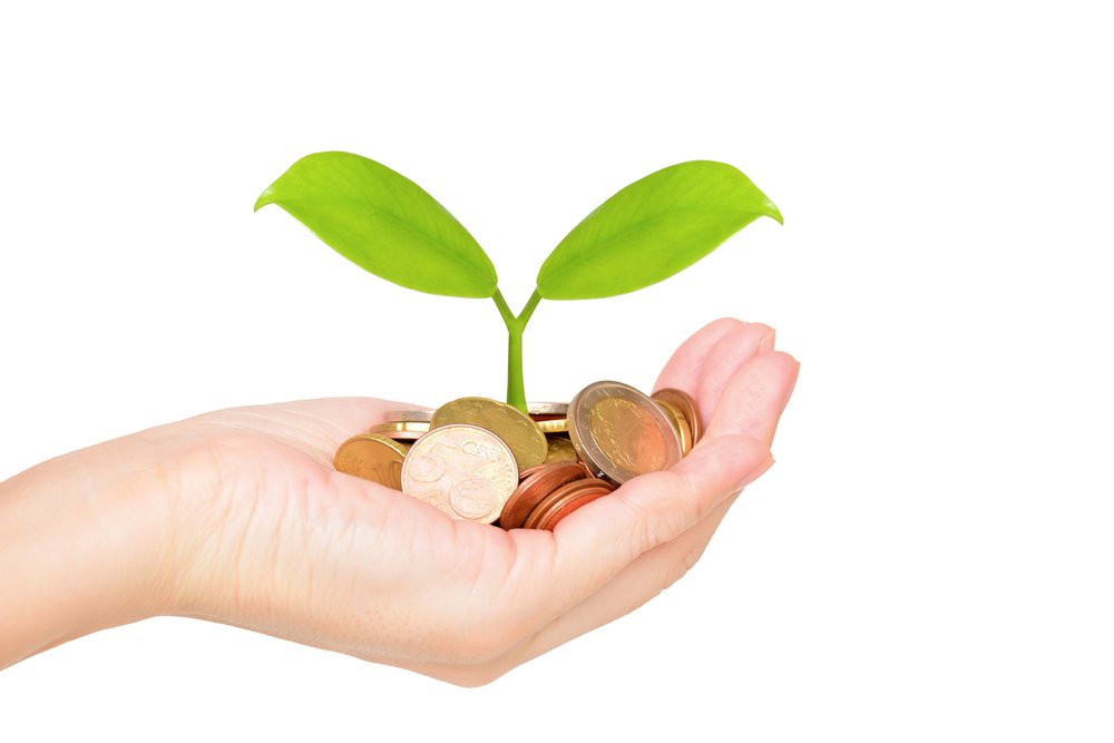 Broto crescendo no solo com gráficos financeiros ascendentes ao fundo, simbolizando investimentos para iniciantes e crescimento no longo prazo.